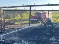 12 выездов за воскресенье: тушили пилораму и сено За прошедшие выходные орловские пожарно-спасательные подразделения выезжали 12 раз, из них 7 выездов на возгорания и 5 выездов на помощь населению