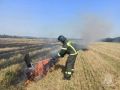 На Орловщине за сутки потушили 5 возгораний на открытых территориях