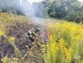 За сутки на Орловщине подтвердились 6 термоточек