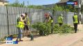 Более двух тысяч юных орловцев нашли временную работу в 2026 году