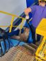 � ���� ������ ������� � ����� ������ ��� ������ �������, � � ������� ������� �������� ��������� ��-��� ����� �� ���