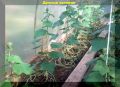 ������ � �������: ������� ����� ��� ������� ������ �� ����