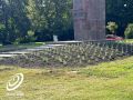 В Орле у памятника героям Гражданской войны высадят 1,5 тысячи кустиков лаванды