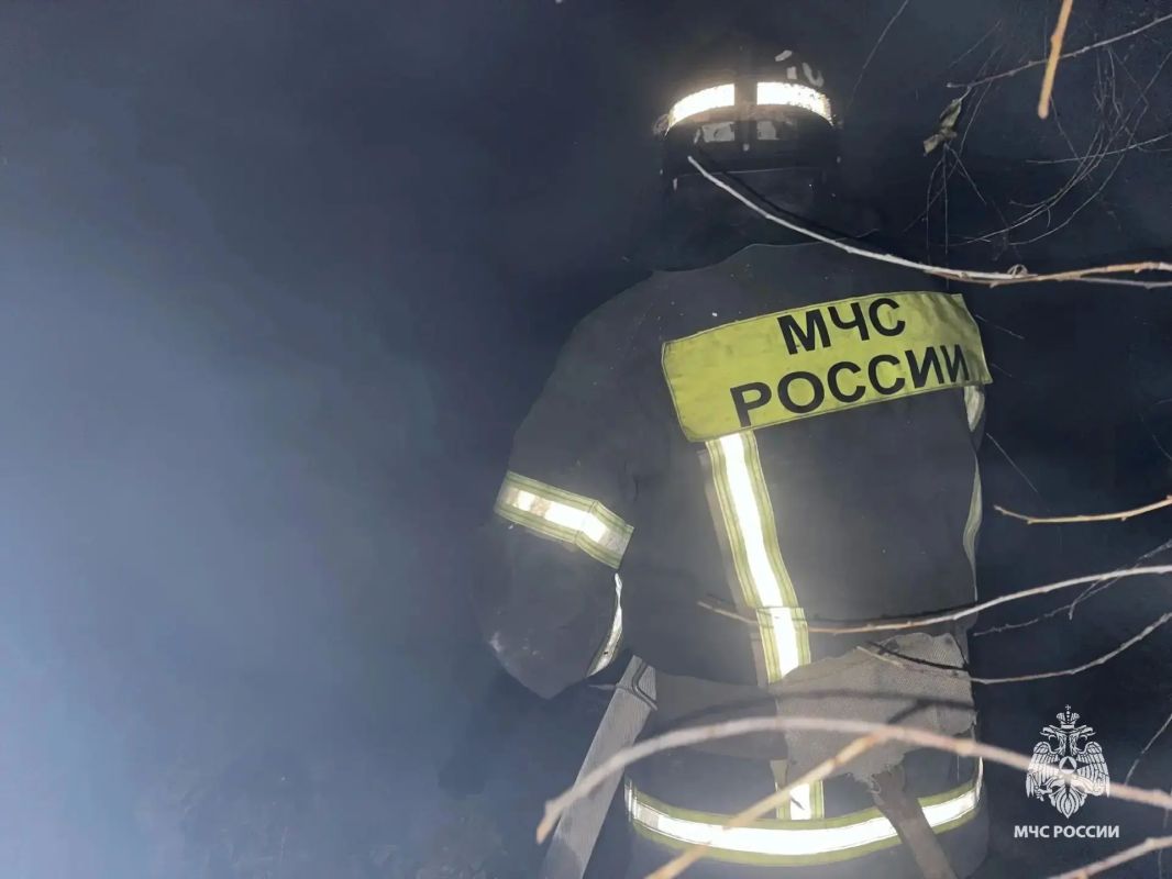 В Орле на пожаре сотрудники МЧС России спасли мужчину и эвакуировали 10 человек В Орле на пожаре сотрудники МЧС России спасли мужчину и эвакуировали 10 человек