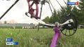 Орловские лучники собрали награды в период летних соревнований