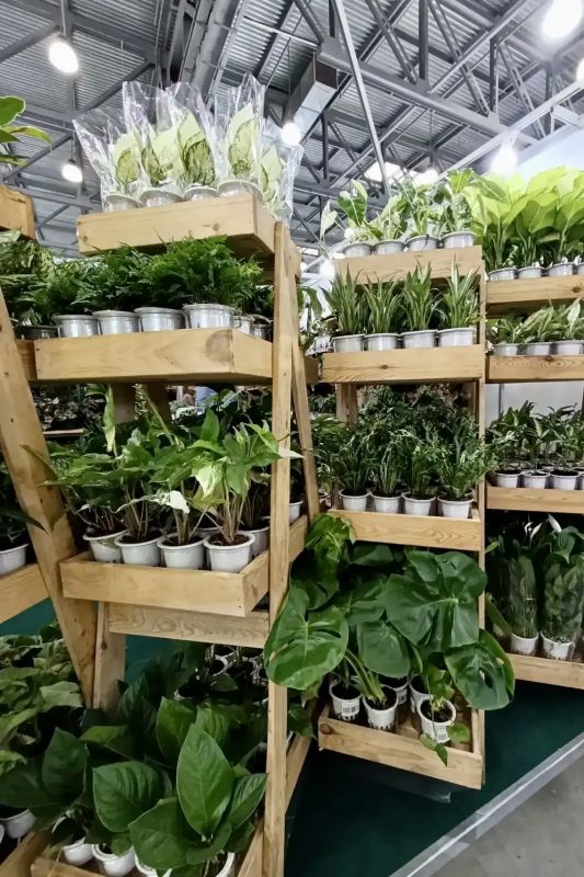Красивый город начинается с хороших идей Красивый город начинается с хороших идей