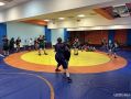 Орёл примет Всероссийские соревнования по вольной борьбе