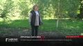 В этом году в Орловской области планируют собрать свыше 2 тонн желудей
