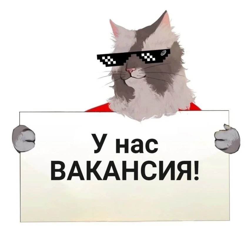 На "Первом Областном" открыта вакансия корреспондента!