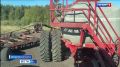 На Орловщине продолжается сев озимой пшеницы