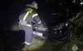 В ДТП с лосем под Орлом погибли три человека