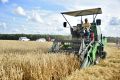 Орловские аграрии намолотили 3,5 миллиона тонн зерновых и масличных культур