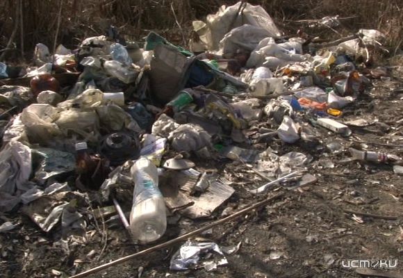 В "Зеленой роще" сменился руководитель