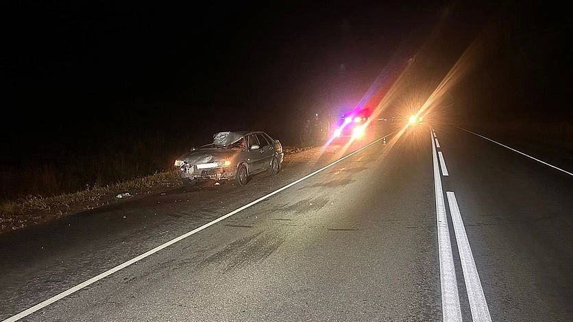 Под Орлом вновь произошла авария с участием дикого животного