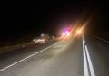 На орловском участке федеральной трассы водитель сбил дикое животное, травмирован пассажир