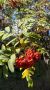 � ������� � ���� �������� ���������� ����-��������� ����������һ!