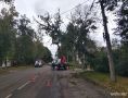 В орловском регионе устраняют последствия сильного ветра