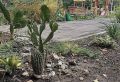 �� ������� �������� � ���� ������� �������� ���� ���������