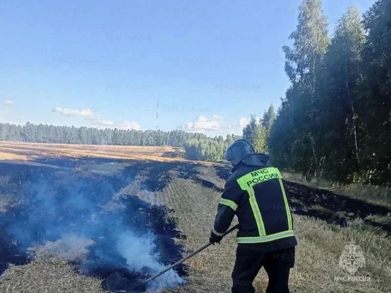 На Орловщине в этом году уменьшилось число пожаров На Орловщине в этом году уменьшилось число пожаров