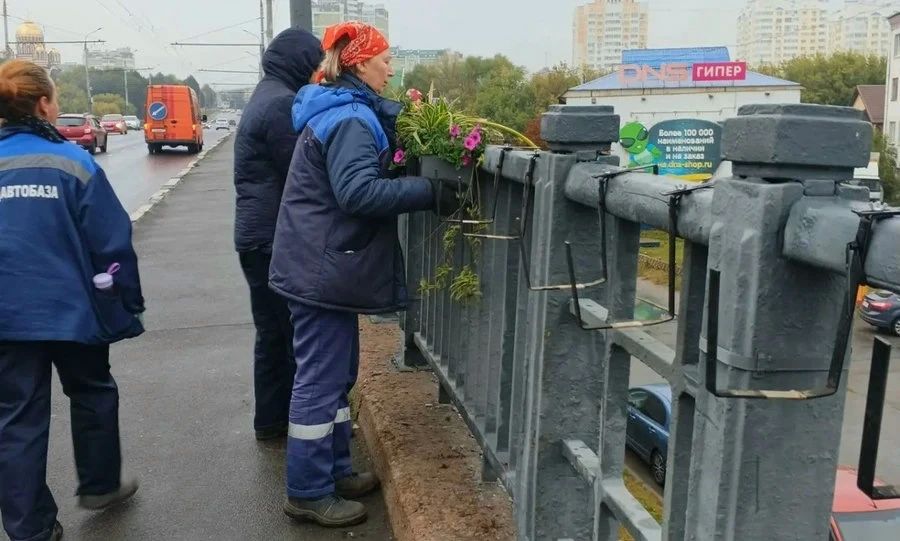 С улиц Орла убирают цветочные композиции С улиц Орла убирают цветочные композиции