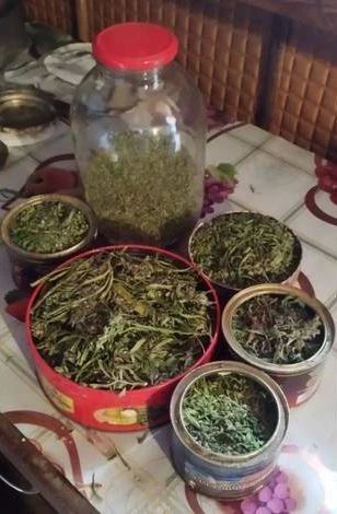 В Мценском районе у мужчины изъяли 319 граммов марихуаны и около килограмма конопли