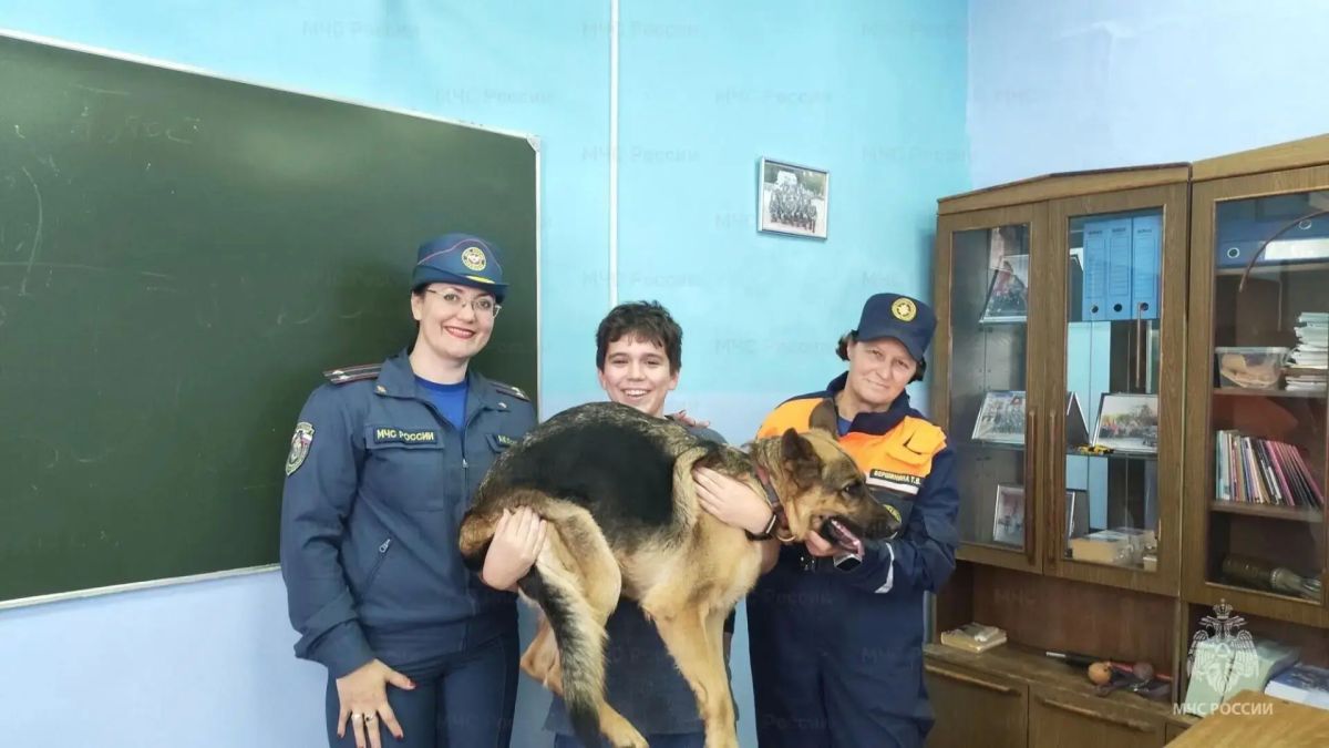 Всероссийский урок: сотрудники МЧС России напомнили детям, как действовать при звуке сирен Всероссийский урок: сотрудники МЧС России напомнили детям, как действовать при звуке сирен