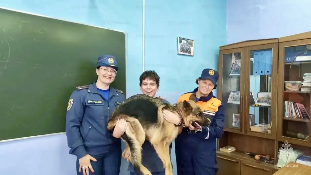 Орловским школьникам напомнили, как действовать в чрезвычайных ситуациях Орловским школьникам напомнили, как действовать в чрезвычайных ситуациях
