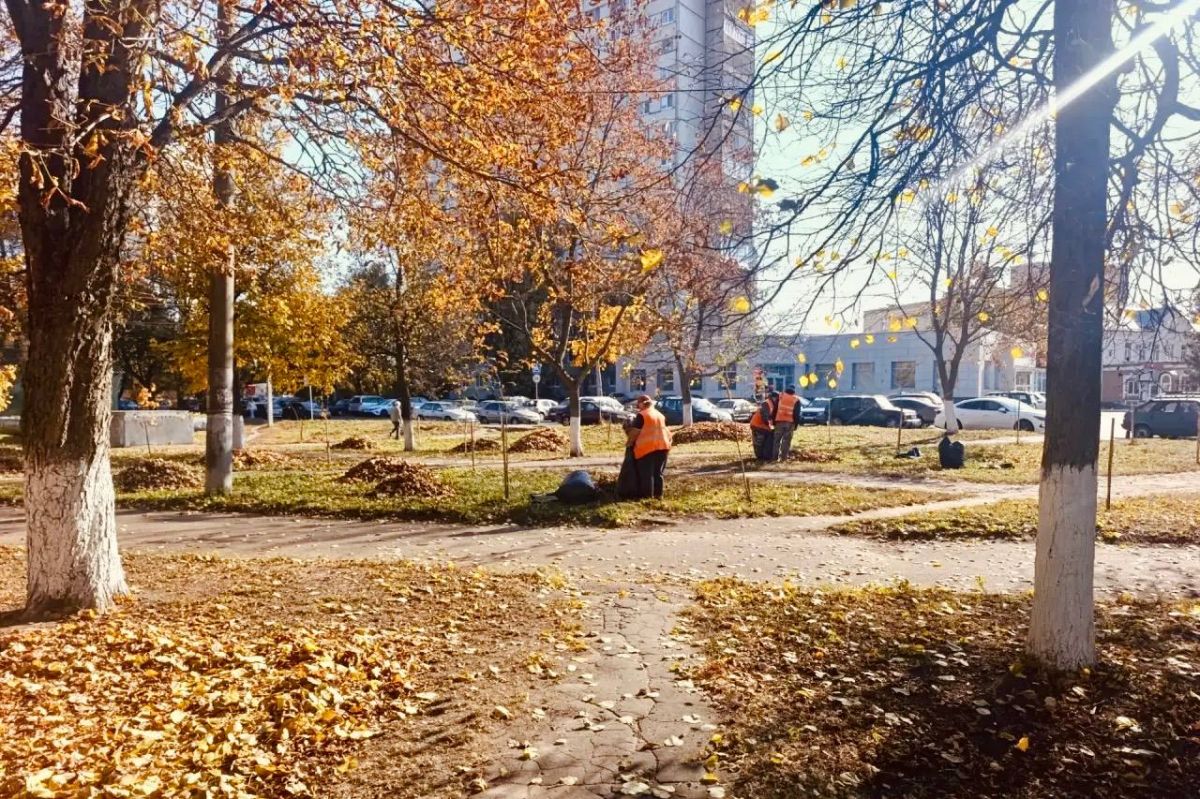 Осенний порядок в парках и скверах Орла: почему важно убирать листву? Осенний порядок в парках и скверах Орла: почему важно убирать листву?