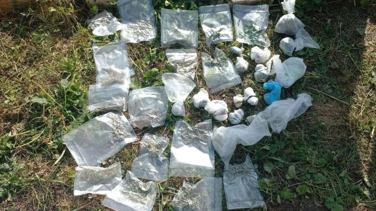 Полицейские пришли расследовать кражу, а обнаружили целую наркоплантацию в Орловской области Полицейские пришли расследовать кражу, а обнаружили целую наркоплантацию в Орловской области