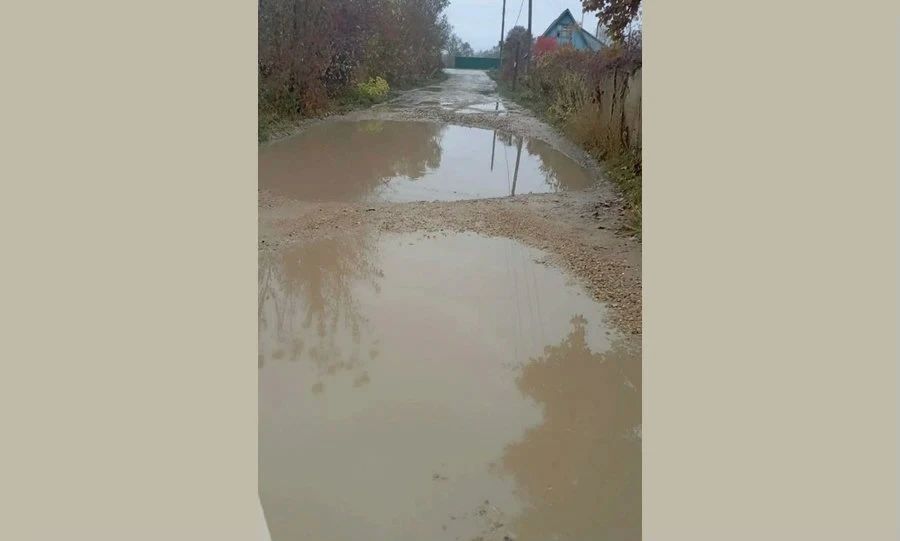 Жители орловских Вязок увязли в бездорожье