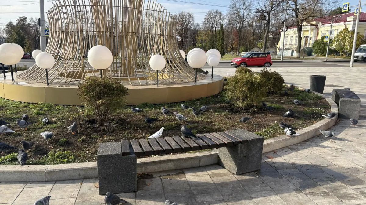 В Орле возле Тургеневского моста на клумбе высадили 11 туй В Орле возле Тургеневского моста на клумбе высадили 11 туй