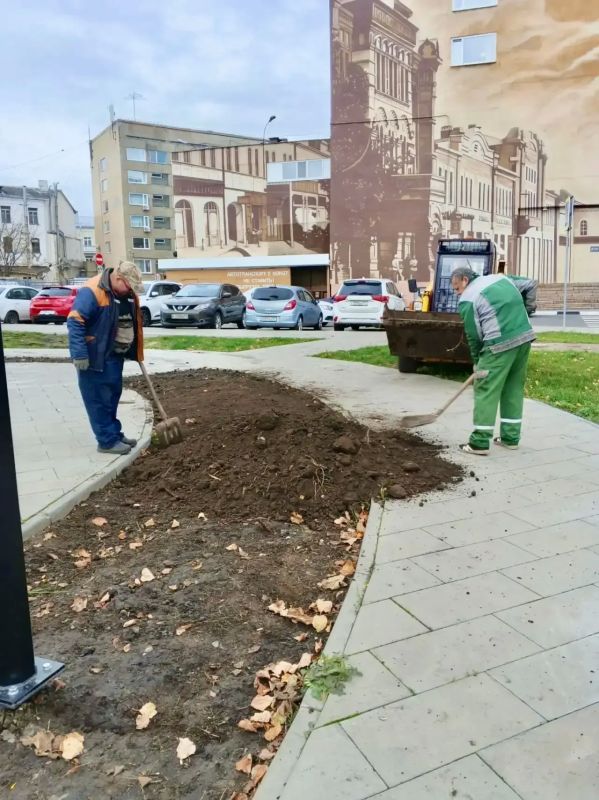В Орле к весне высадят 75 тыс В Орле к весне высадят 75 тыс