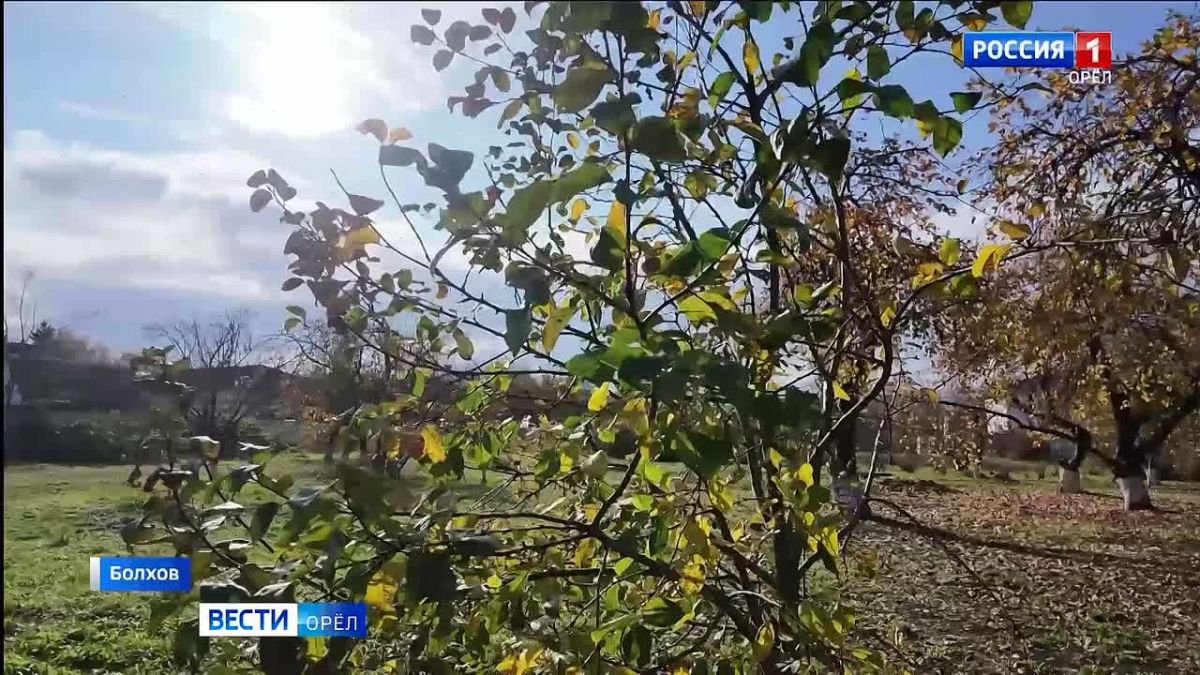 Возле болховской школы №2 разбили яблоневый сад