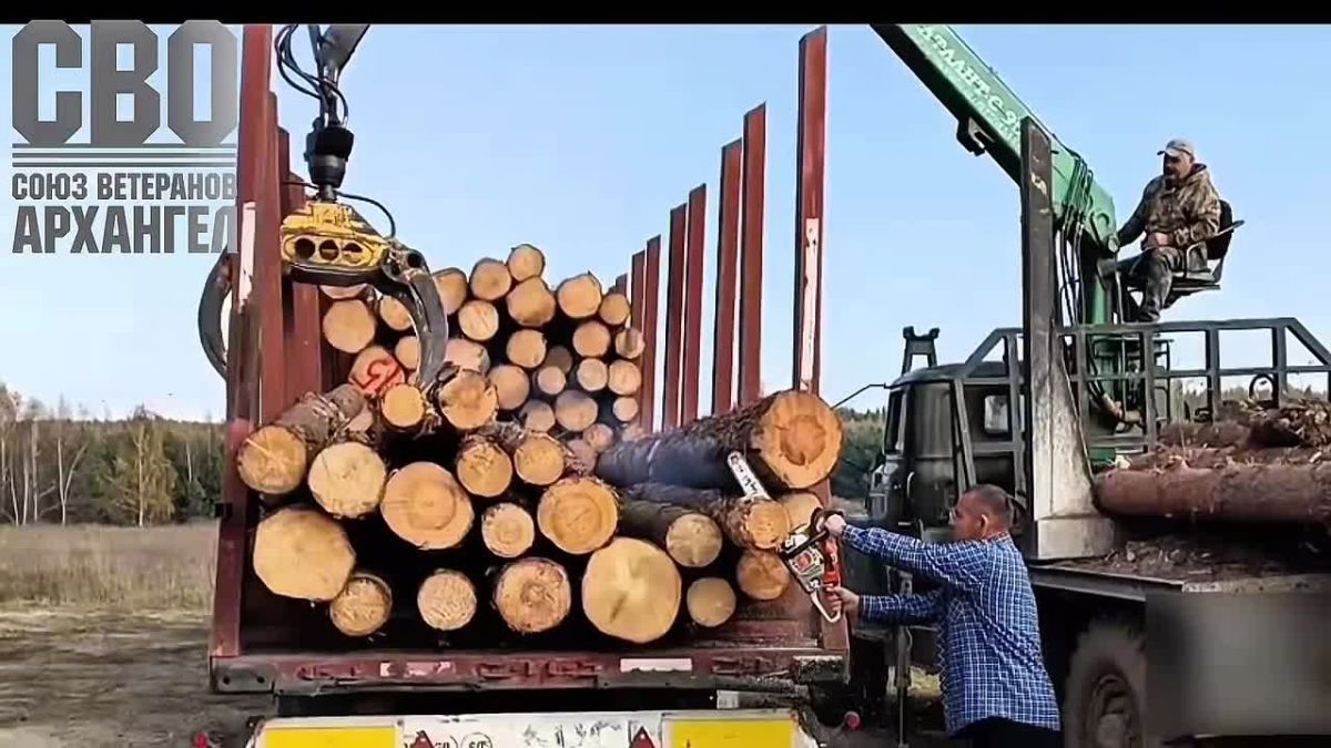 Продолжается работа в рамках гуманитарной миссии по обеспечению лесоматериалом подразделений, выполняющих задачи в зоне СВО