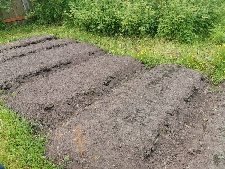 ��� ����������� ������ � ����, ����� ������ �������� ������� ������