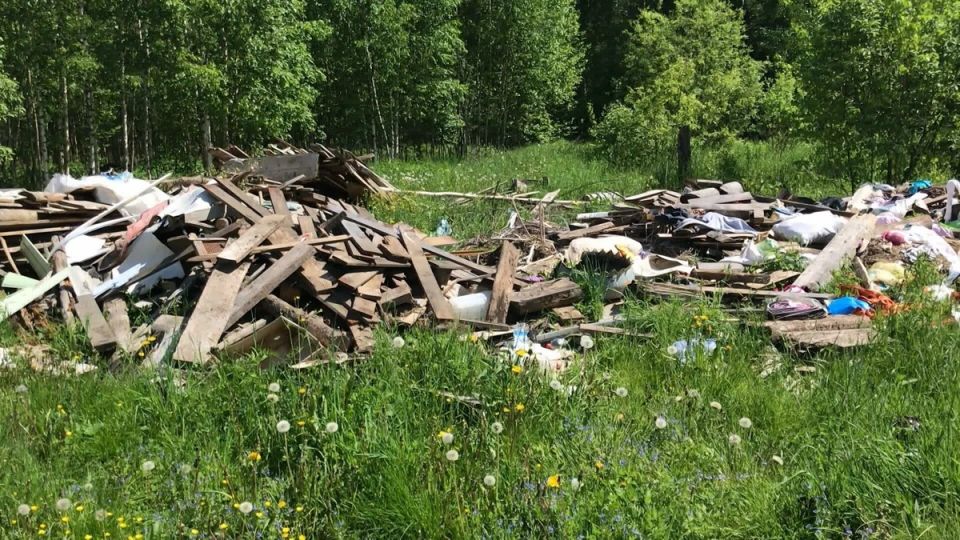 Пенсионерка заплатила 300 тысяч за мусор на своем участке: неожиданные последствия бездействия