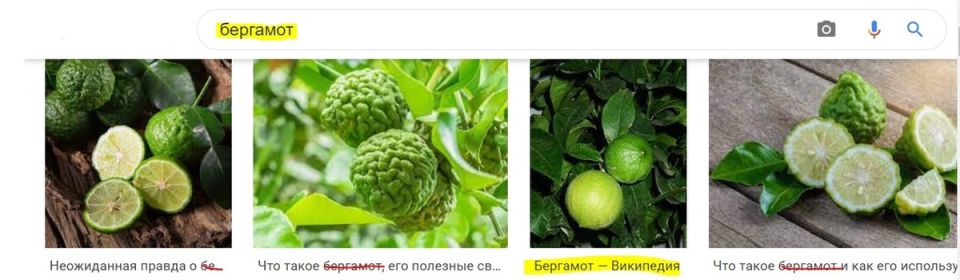 Бергамот: тайный герой чая и парфюмерии