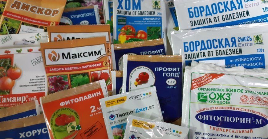 Современные решения для осенней обработки сада