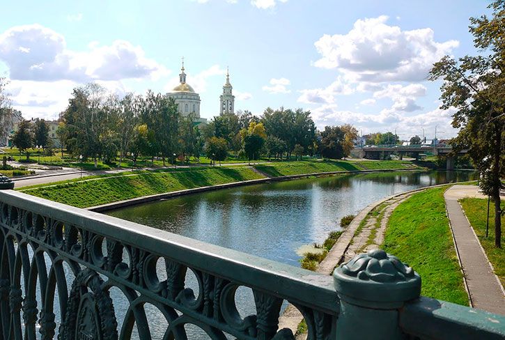 Как влюбиться в осень: бересклет крылатый Компактус — яркое украшение вашего сада