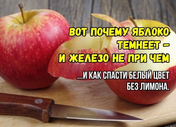 Секреты сохранения свежести яблок: проверенные методы против старых мифов