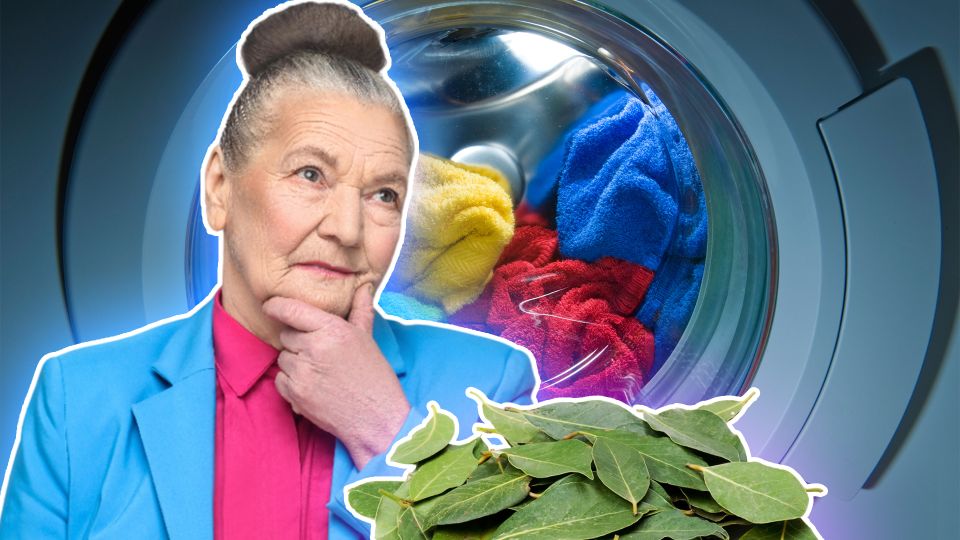 Лавровый лист не только в суп: так вот зачем бабушки стирали белье с этой приправой