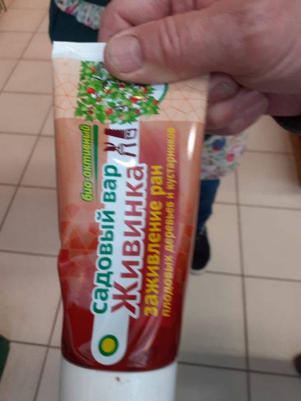 Настоящий садовый вар: миф или реальность? Что нового в мире садоводов