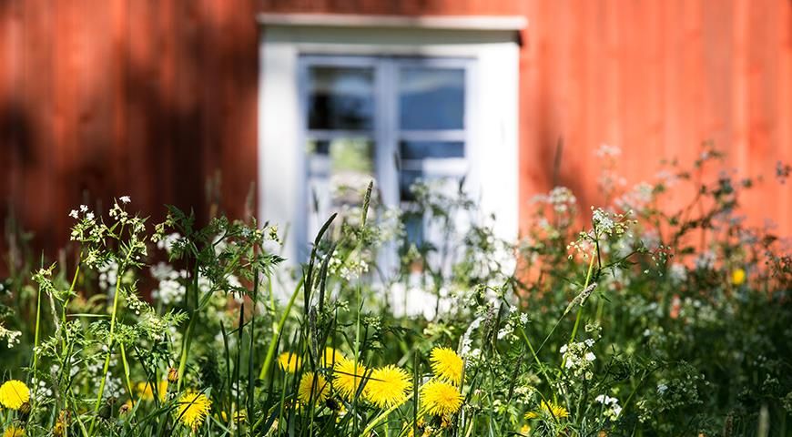 Штрафы от Росреестра: как избежать наказания за земельные правонарушения