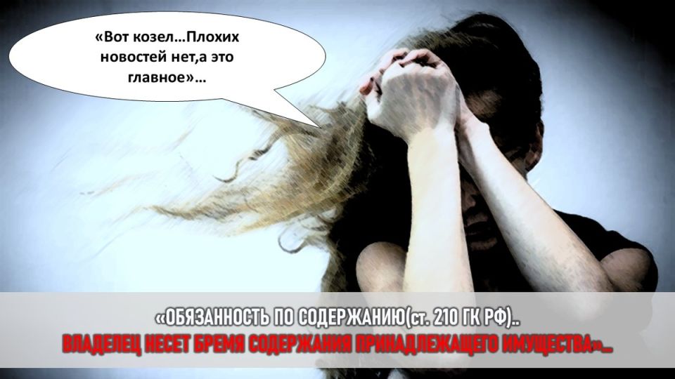 Когда кот уходит: Пропажа Матвея и его последствия