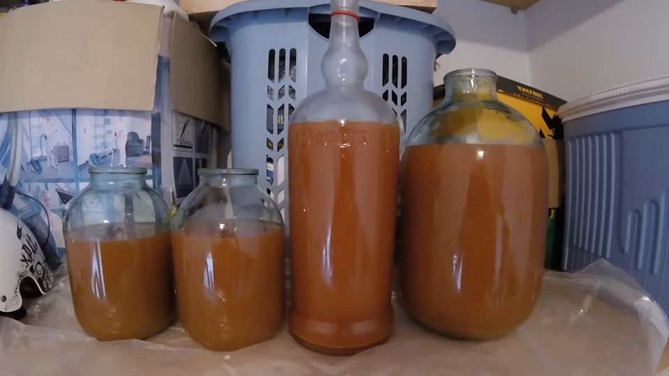 Секреты домашнего сидра: экономия и вкус не отступают