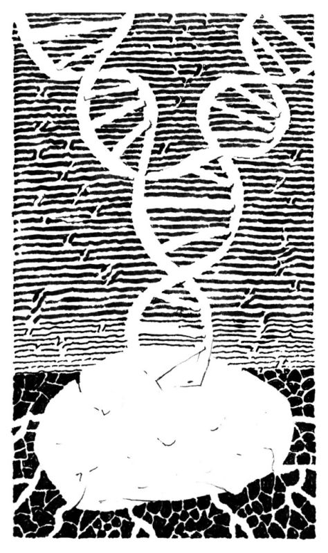 Как картофель стал тем, чем он есть: удивительная история его происхождения