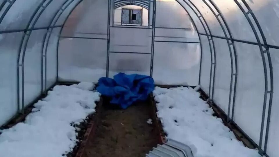 Как снег в теплице может утроить урожай: секреты тепличного успеха