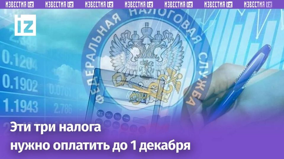 Настало время налогов: что необходимо знать россиянам в 2025 году