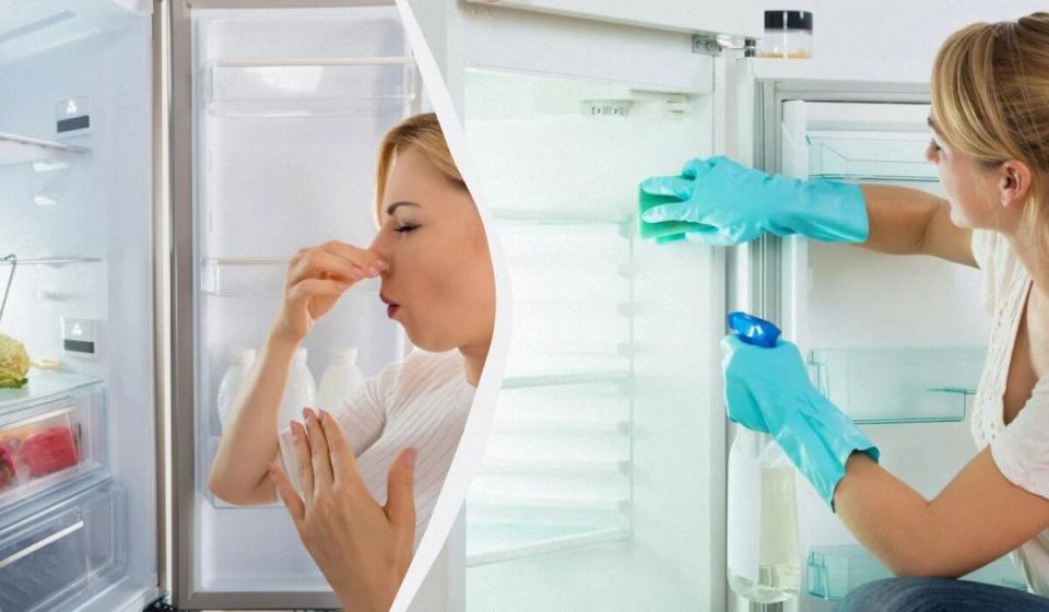 Как избавиться от запаха в холодильнике: неожиданный лайфхак от экспертов