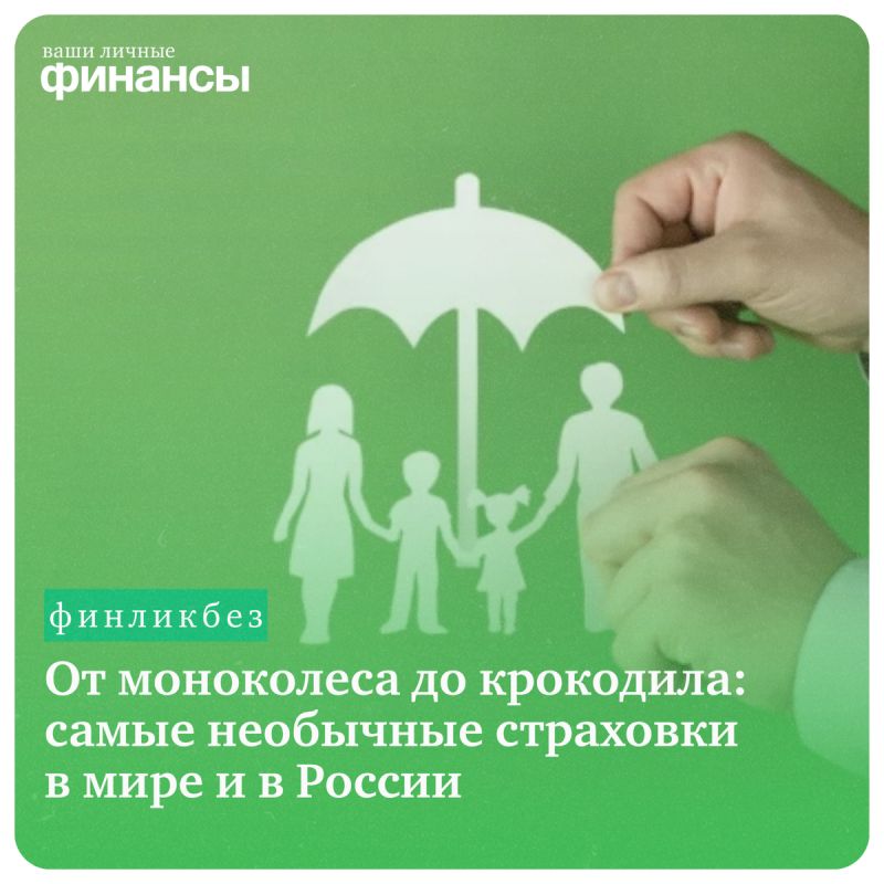 Необычные страховки: от крокодила до погоды на свадьбе